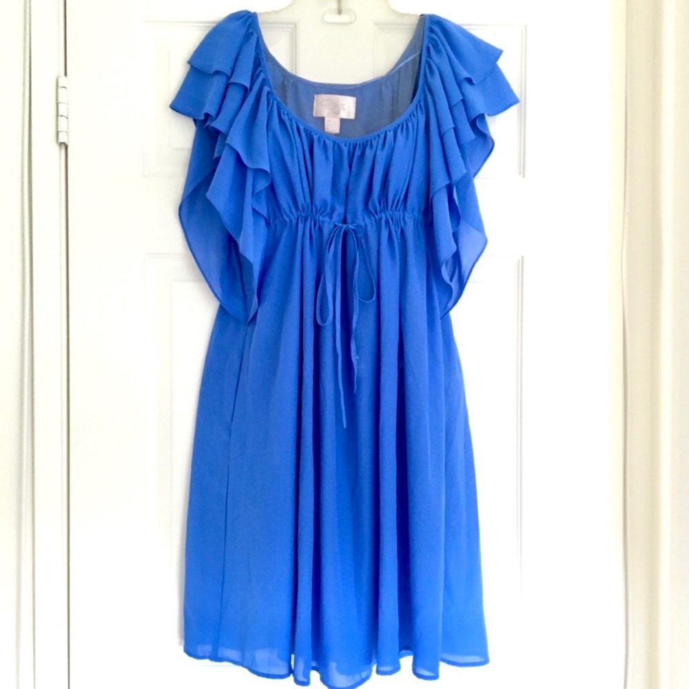 H&M Garden Collection Blue Ruffle Dress